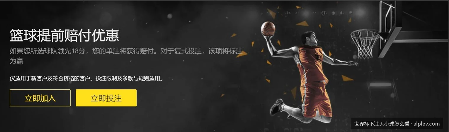 新手必看：世界杯大小球盘口怎么看与输赢计算方法详解
